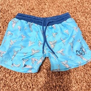 Kids Blue Shark Print Swim Trunks